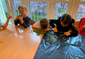 Warsztaty naukowe z edukatorem z Centrum Nauki Kopernik
