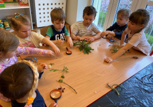 Warsztaty naukowe z edukatorem z Centrum Nauki Kopernik