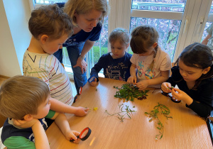 Warsztaty naukowe z edukatorem z Centrum Nauki Kopernik