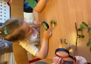Warsztaty naukowe z edukatorem z Centrum Nauki Kopernik