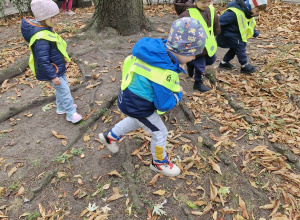 W poszukiwaniu jesiennych skarbów