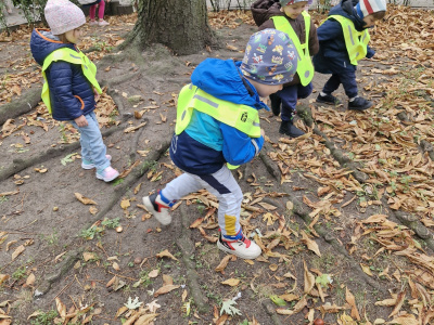 W poszukiwaniu jesiennych skarbów