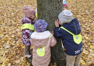 W poszukiwaniu jesiennych skarbów