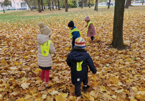 W poszukiwaniu jesiennych skarbów