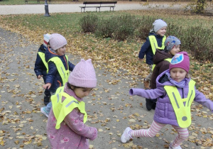 W poszukiwaniu jesiennych skarbów