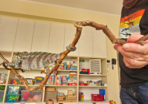 Warsztaty przyrodnicze "Smoki"