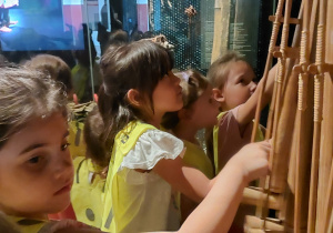 W Muzeum Azji i Pacyfiku