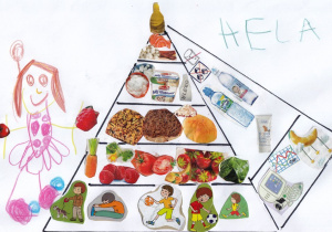 Piramida żywienia