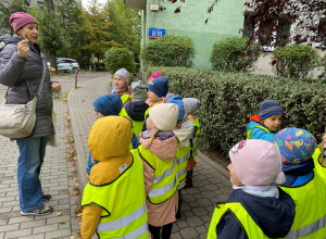 Zajęcie edukacyjne "Liście"